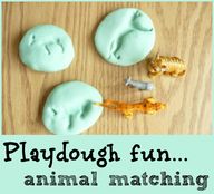 Animnal matching wit